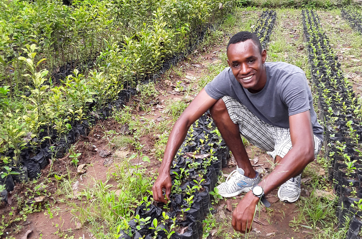 Young entrepreneur with vegetable seedling nursery