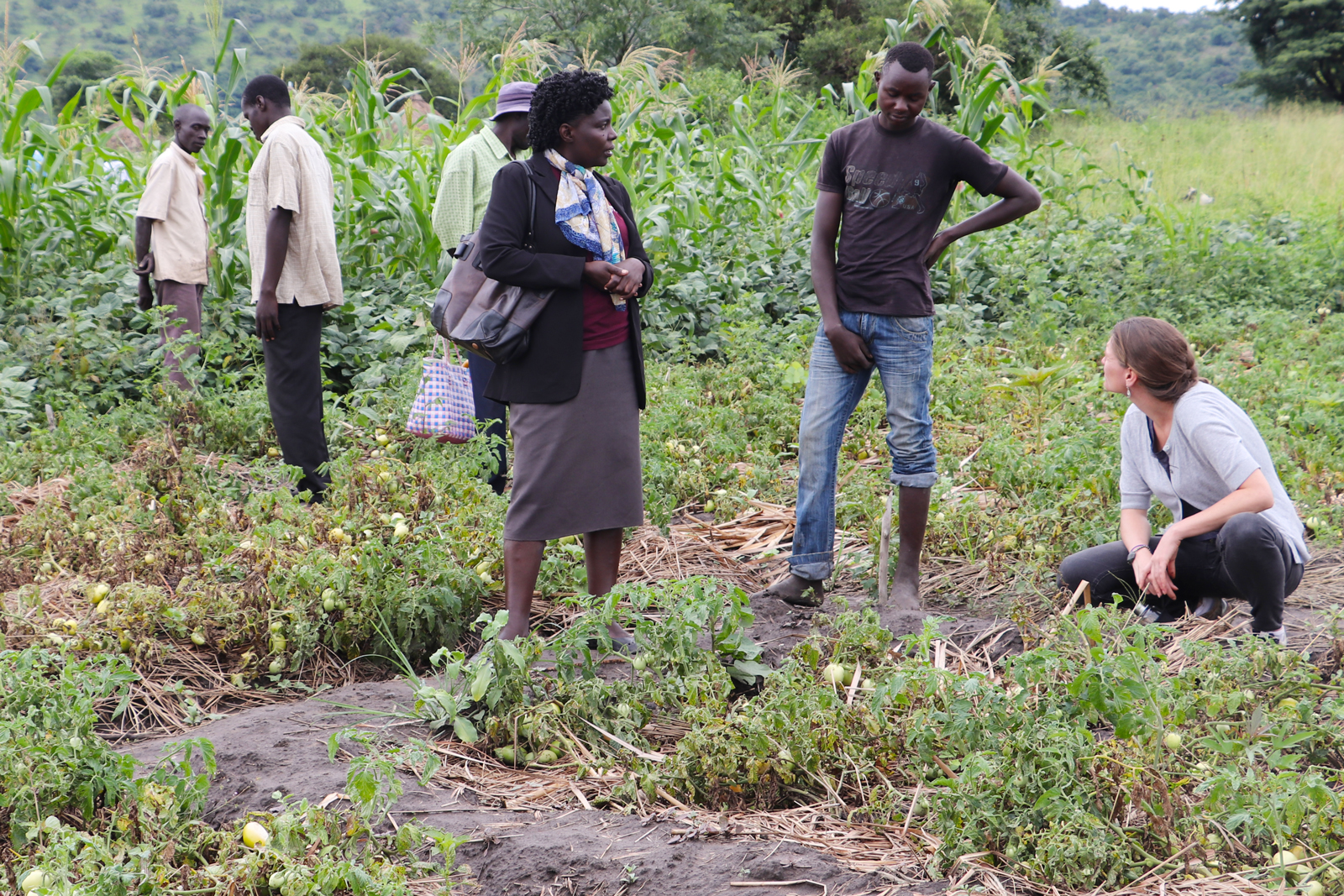 Farmer, social worker and scientist discuss innovation at a farm in Uganda